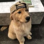 千山独行 何必相送-GOi小屋